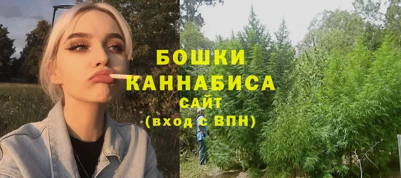 Шишки марихуана Ganja  что такое   Борзя 